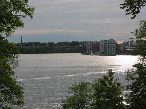 The island was buried with greenery.